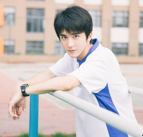 张小寒最新爆料张新成,张小寒独家爆料引热议