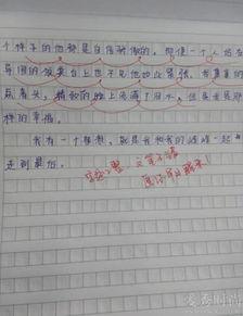 最新小作文爆料,最新小作文爆料背后的惊人真相