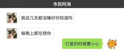 小卫最新爆料,揭秘娱乐圈最新热点事件