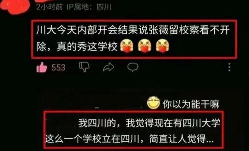 川大事件最新爆料,最新爆料揭露惊人内幕！”
