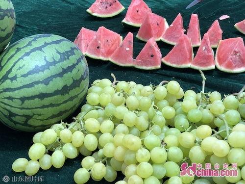 山东最新吃瓜爆料