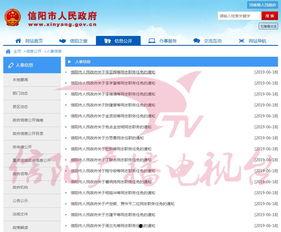 信阳头条最新爆料,重大事件背后惊人内幕曝光！